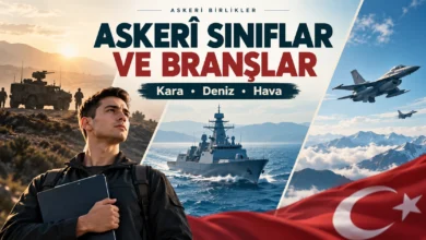 Askerî Sınıflar ve Branşlar: Kara, Deniz ve Hava